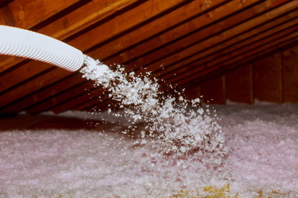 Best Types of Insulation in Tillmans Corner, AL