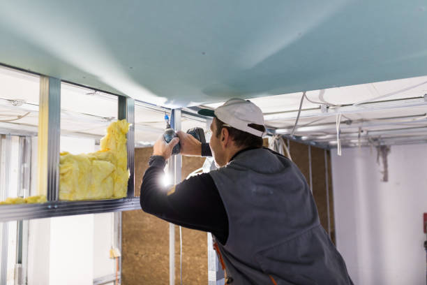 Best Insulation for Specific Applications in Tillmans Corner, AL